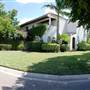 Palm Boulevard Neighborhood