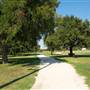 Trinity Park