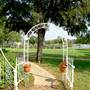 Blue Heron Bed and Breakfast
