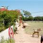 JR Stables