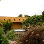 Fiesta Gardens