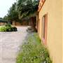 Fiesta Gardens