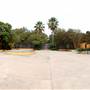 Fiesta Gardens