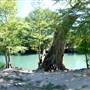 Bandera City Park