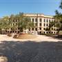 Texas A&M University