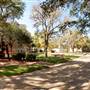 Texas A&M University