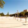 Texas A&M University