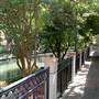 San Antonio River Walk