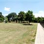 San Pedro Springs Park