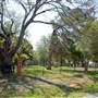 Old City Cemetery