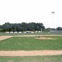 Sonny Gold Ball Park