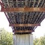 Richard Moya Park - Walk Bridge