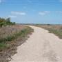 Matagorda Island