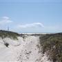 Matagorda Island