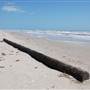 Matagorda Island