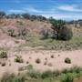The Sandy Ranch