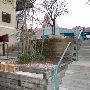 Cedar Street Courtyard