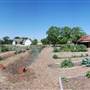 Peterson Community Garden