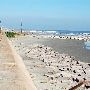 Galveston Seawall Blvd
