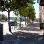 Willie Nelson Boulevard