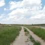Muleshoe National Wildlife Refuge