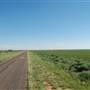 FM 3112 South of US 380