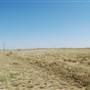FM 1788 between Midland and Seminole