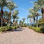 Moody Gardens