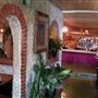Polvo's