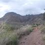 Big Bend National Park - Window Trail