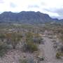 Big Bend National Park - Ward Springs Trail