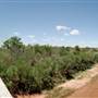 Brazos River at W. Lincoln St.