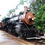 Texas State Railroad - 1901 Steam Train
