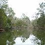 Lake Bastrop