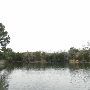 Lake Bastrop