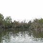 Lake Bastrop