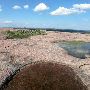 Enchanted Rock State Natural Area