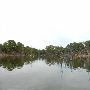 Lake Bastrop