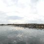 Lake Bastrop