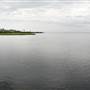 South Padre Island Birding and Nature Center & Alligator Sanctuary