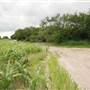 Loop Farms Inc