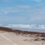 Boca Chica Beach & Dunes
