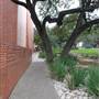Trinity University