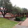 Trinity University