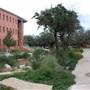 Trinity University