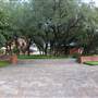 Trinity University