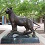 Trinity University
