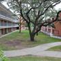 Trinity University