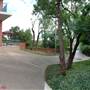 Trinity University