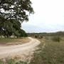 Old Glory Ranch